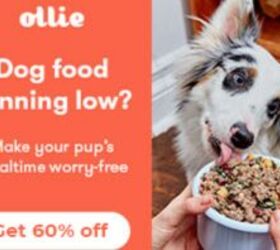 Get 60% off + Free Shipping on your entire order of clean, simple healthy meals.