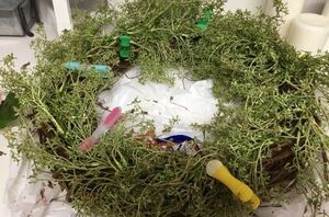 Grab some clothespins for this beautiful summer door idea