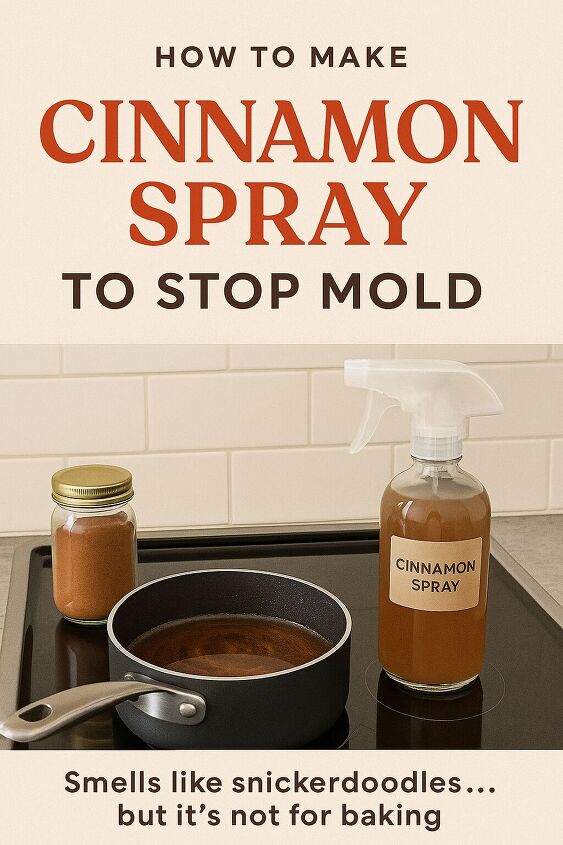 A simple trick for healthier houseplants