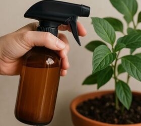 Cinnamon Spray for Moldy Leaves and Soil: An Easy DIY Plant Care Hack