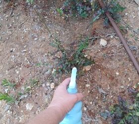 This homemade vinegar and Dawn mix is the secret to a cleaner garden, free of invaders