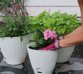 The 5 easy garden upgrades that'll make your backyard the talk of the block