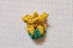 If you don't crochet, this simple yet stunning design might convince you to start