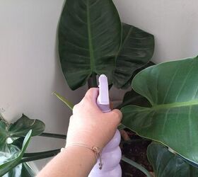 This simple, natural remedy can help your plants thrive without harmful chemicals