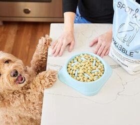 Start Summer Strong With 60% Off Spot & Tango Dog Food