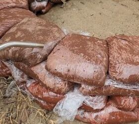 Let your concrete pavers dry overnight for the best results