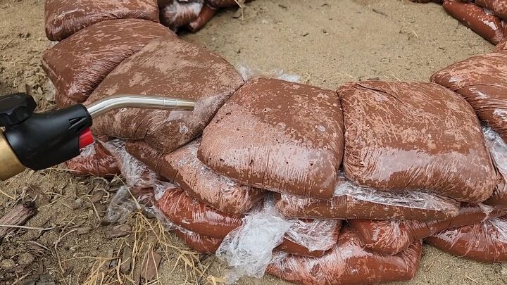 Let your concrete pavers dry overnight for the best results