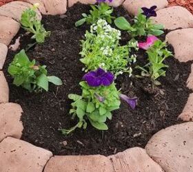 DIY Concrete Pavers: The Best Way to Build Raised Circular Garden Beds