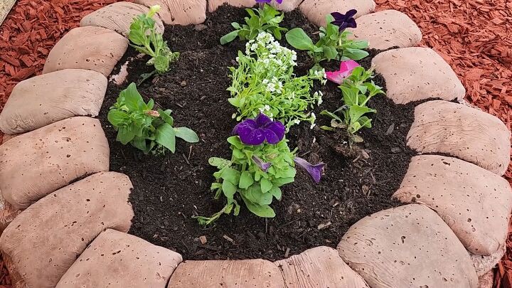Create stunning raised circular garden beds using DIY concrete pavers