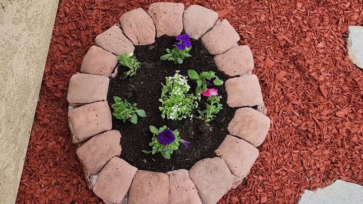 Creating your own outdoor garden oasis on a budget