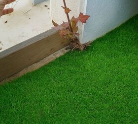 Homemade weed killer for tight garden corners