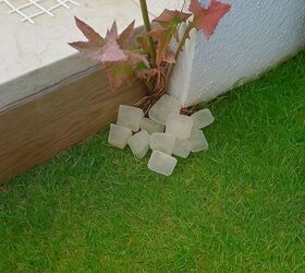 Let the vinegar cube melt naturally to deeply target stubborn weeds