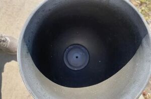 Here's what you need to consider when filling your summer planters