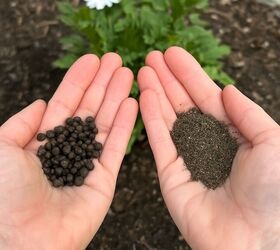 the surprising way black pepper protects your plants from pests, Make a DIY garden pest deterrent