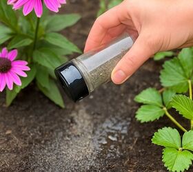 The brilliant reason that everyone might want to sprinkle black pepper outside this week