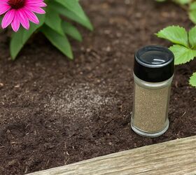 The Surprising Way Black Pepper Protects Your Plants From Pests