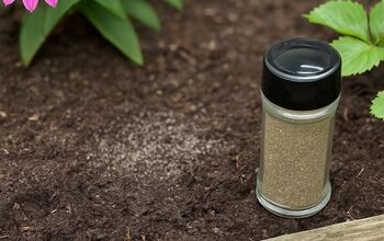 The Surprising Way Black Pepper Protects Your Plants From Pests