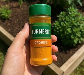 The brilliant reason that everyone might want to sprinkle turmeric outside this week