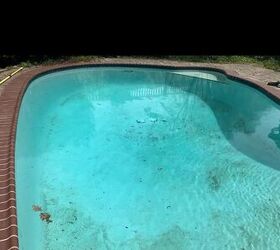 Here's what anyone with a pool absolutely NEEDS to see this summer