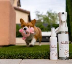 The Safe Way to a Fresh-Smelling Pet Space Through the Power of HOCl