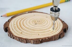 Drill holes in a wood slice for this gorgeous garden idea
