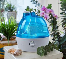 10 sleek humidifiers that won't kill your style while they freshen your air