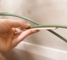 She holds a popsicle stick against her plant stem for a 2-minute trick every plant lover should know!