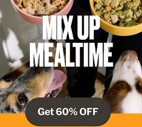 Why Pets & Owners Love Nom Nom