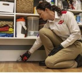Orkin's Trusted Pest Protection Is Just a Click Away