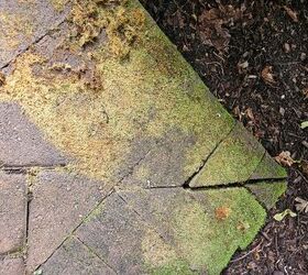 The chemical-free way to banish moss from your patio or driveway this week