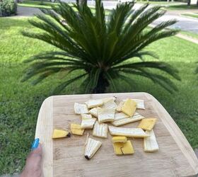 How to use banana peels in the garden