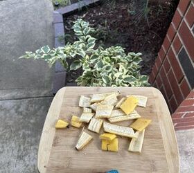 Timeless gardening tricks