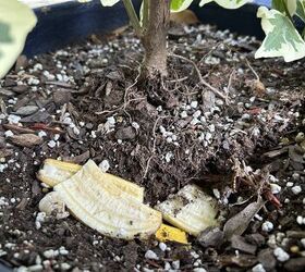 Backyard garden hacks that prove simple is sometimes best