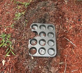 Beginner-friendly garden hacks 