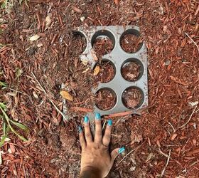 Muffin tin seed spacing trick