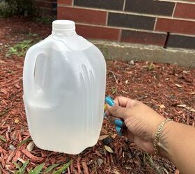 Slow-drip irrigation with milk jug