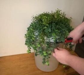 Trimming the greenery