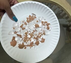 Crushed eggshells create a natural, jagged barrier around tender plants