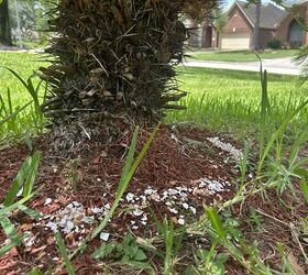 Bonus: Shells slowly release nutrients into the soil