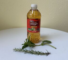 DIY natural cleaner: apple cider vinegar infused with rosemary for fresh-smelling surfaces