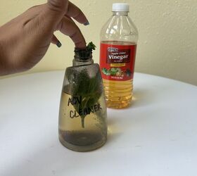 Simple vinegar cleaner
