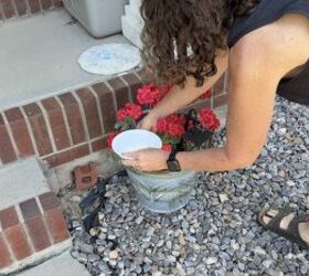 This is the smartest way to keep your plants thriving this season