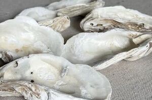Clean your oyster shells really well for this pretty summer idea
