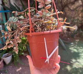 How to Build a Show-Stopping Outdoor Clock Planter in One Afternoon