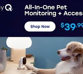 Did you know you can ease your pet's separation anxiety with one simple smart-home solution—and stay connected with them from anywhere?
