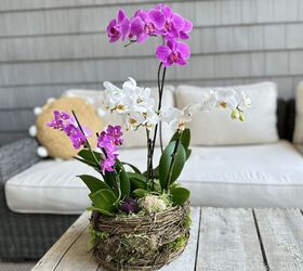 let s diy an orchid and moss basket arrangement a life unfolding, DIY Orchid and Moss Arrangement with Trader Joe s Orchids