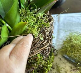 let s diy an orchid and moss basket arrangement a life unfolding, DIY Moss Basket with Orchids