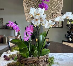let s diy an orchid and moss basket arrangement a life unfolding, Creating an Orchid and Moss Basket Arrangement