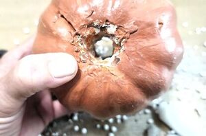 She cuts a hole through a foam pumpkin for one of the prettiest fall ideas we've seen so far this year