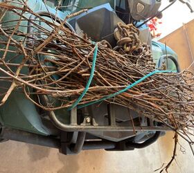 How this pile of branches ended up looking so good against their fireplace for Halloween